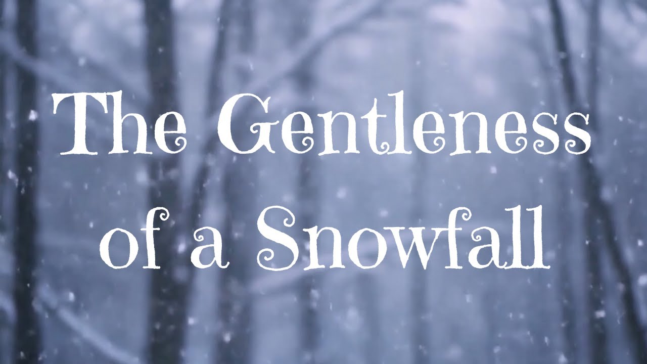 The Gentleness of a Snowfall❄️