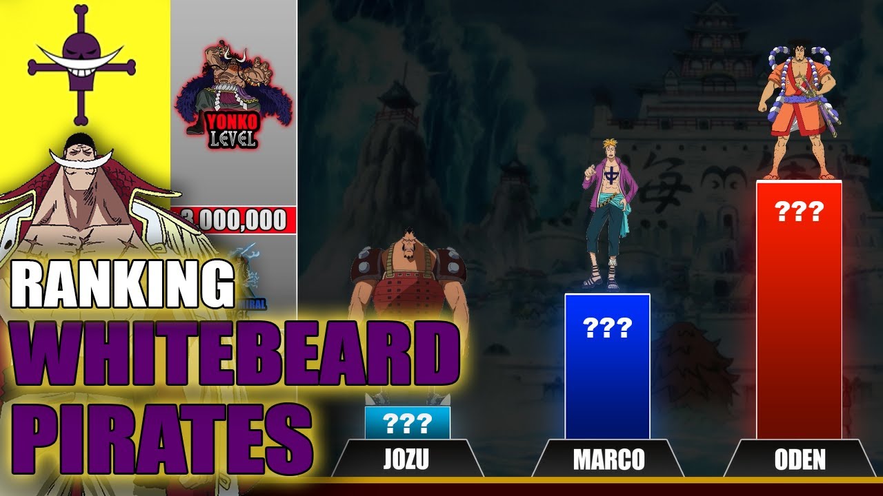 Ranking All Whitebeard Pirates Power Levels