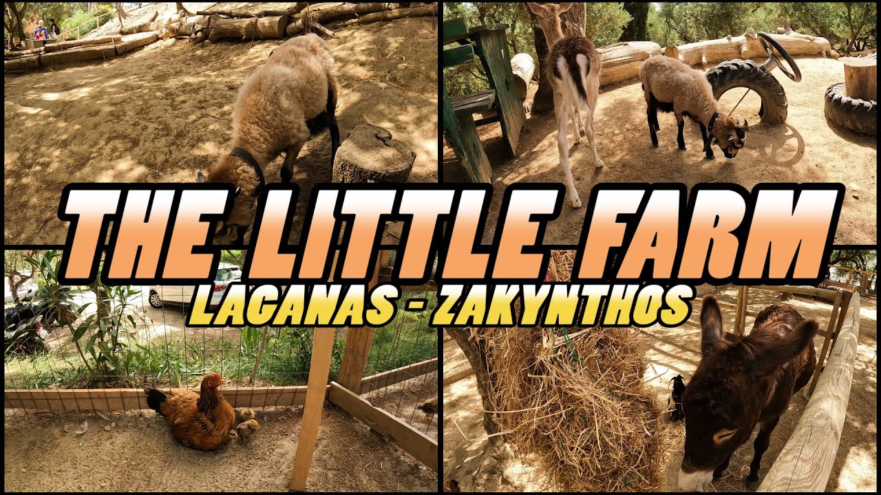 The LITTLE FARM - Laganas Zakynthos - Greece [4k]