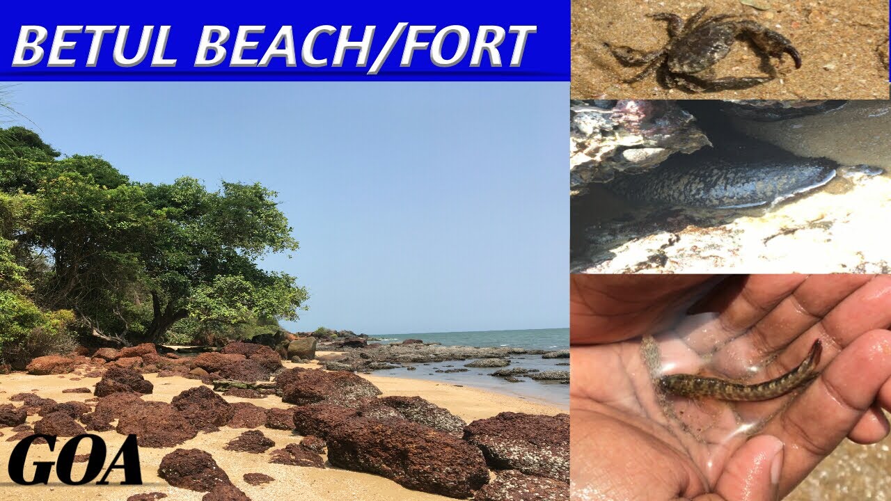 BETUL BEACH/FORT GOA INDIA