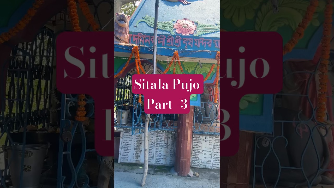 Peace when I visit my house😌 #dailyvlog #trending #hosteller #home #bengali #youtubeshorts #haldia