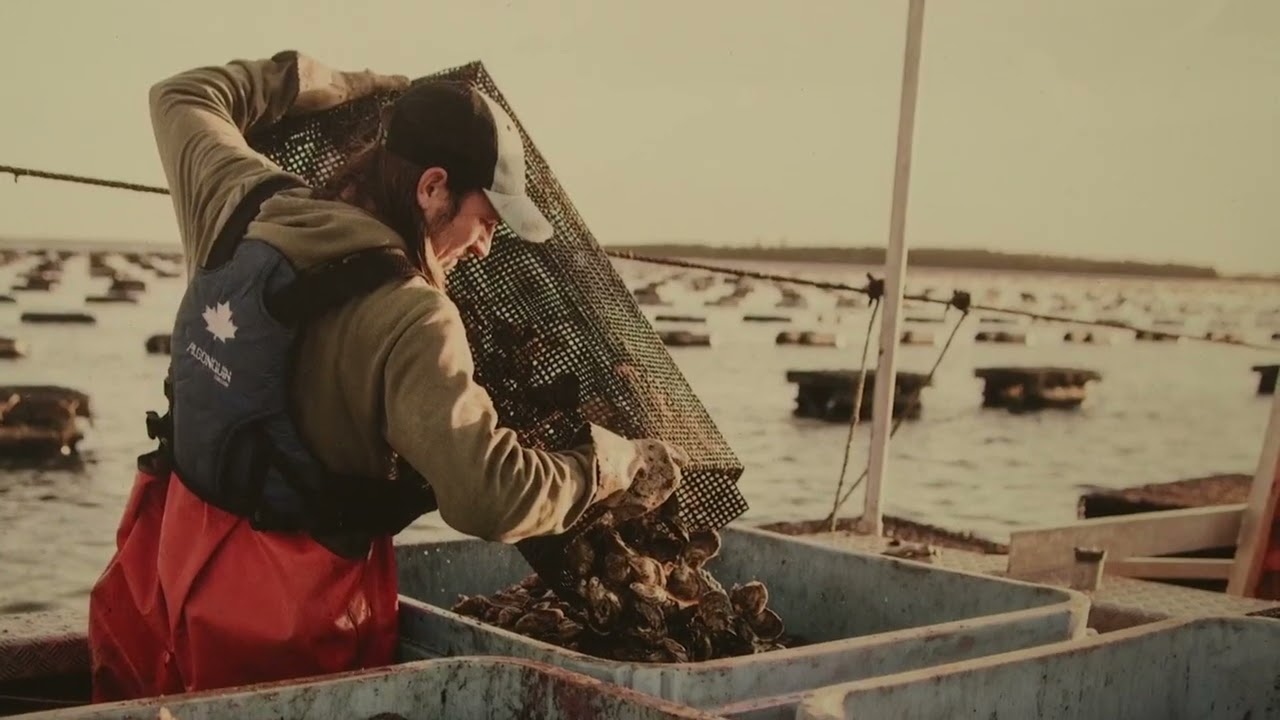 Raspberry Point Oysters - Open Farm Day 2024