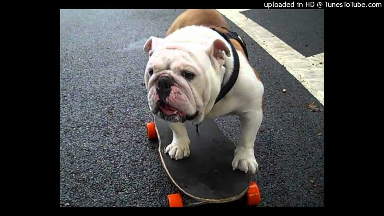 tdf x kron x xangang type beat