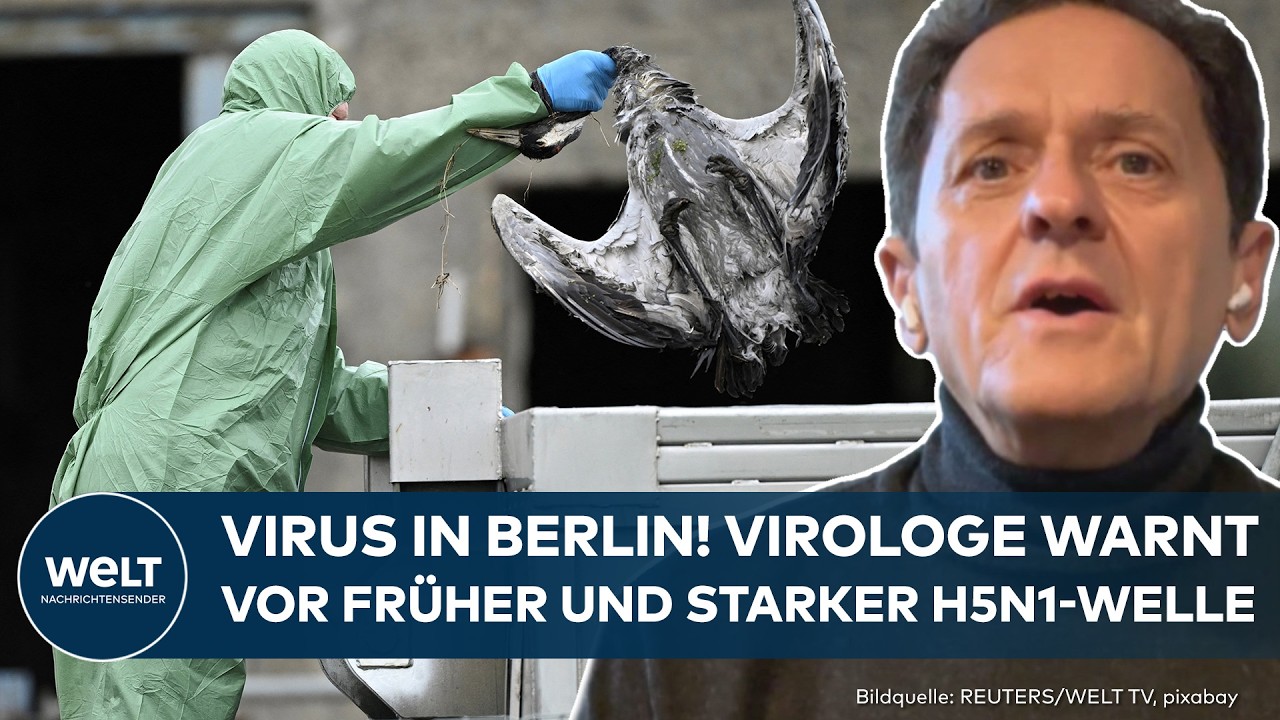 DEUTSCHLAND: Vogelgrippe-Schock! 15.000 Tiere get&ouml;tet &ndash; Virus breitet sich aus