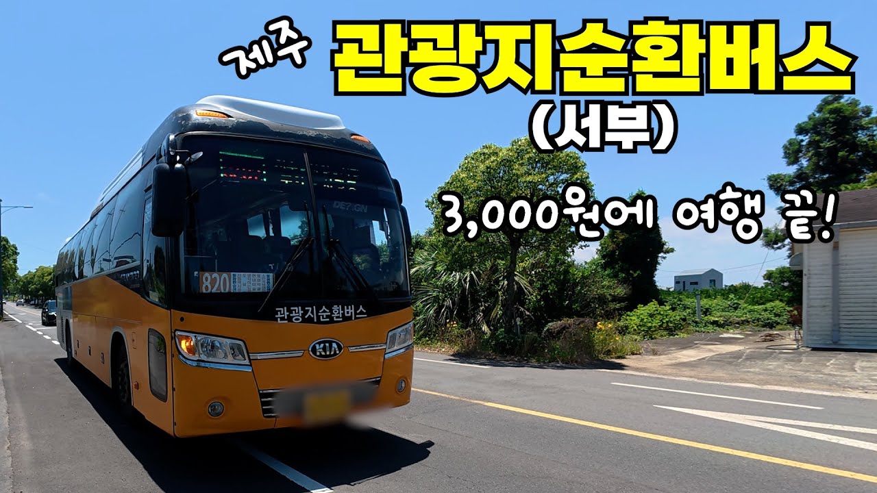 제주 서부 여행 3,000원으로 끝!