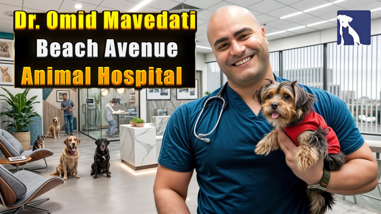 Dr. Omid Mavedati | Vancouver Veterinarian🐾