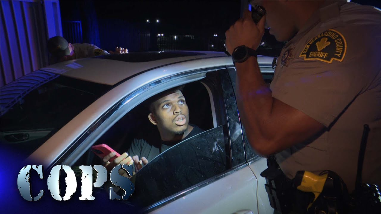 Picture Perfect, Show 3720, Cops TV Show