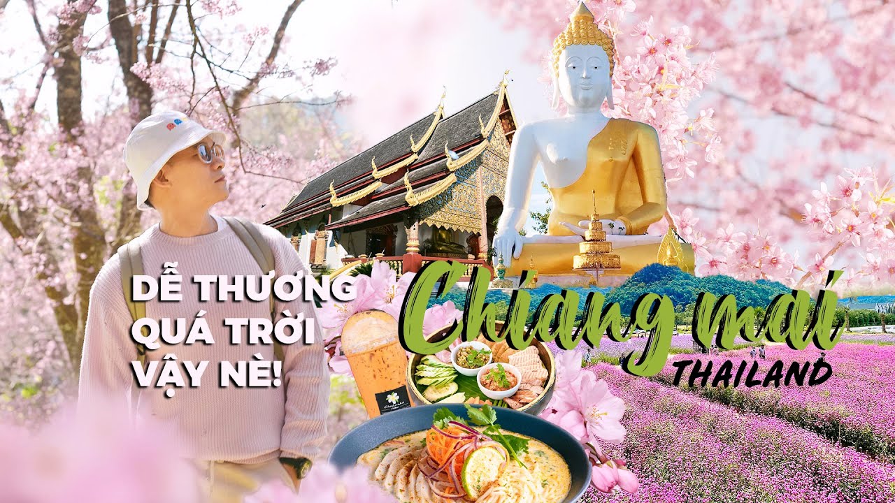 Du lịch Chiang Mai | SĂN HOA ĐÀO + LÀNG MAE KAMPONG + VƯỜN HOA + ĂN NGON | IAMKOO