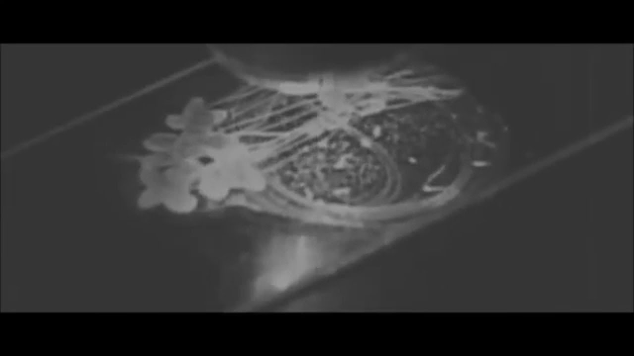 Valerinne - Terra Amata Official Video