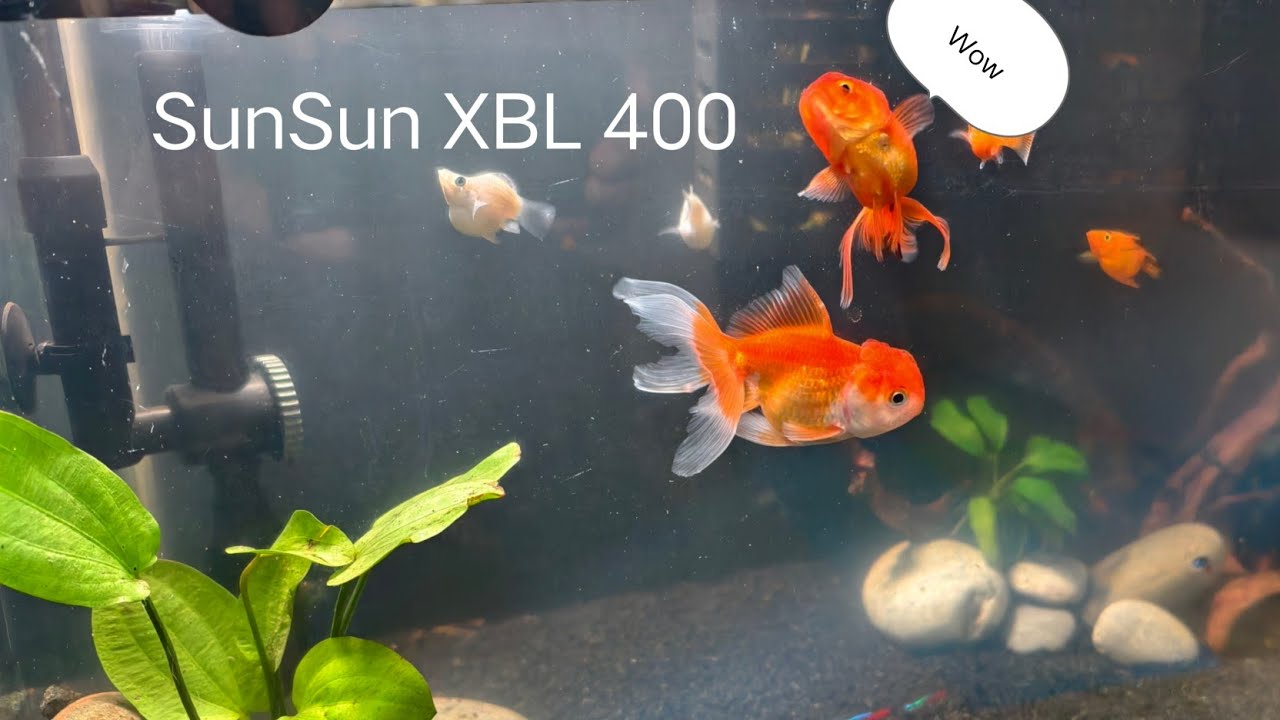 Sunsun XBL-400 HangOn Filter for small aquarium