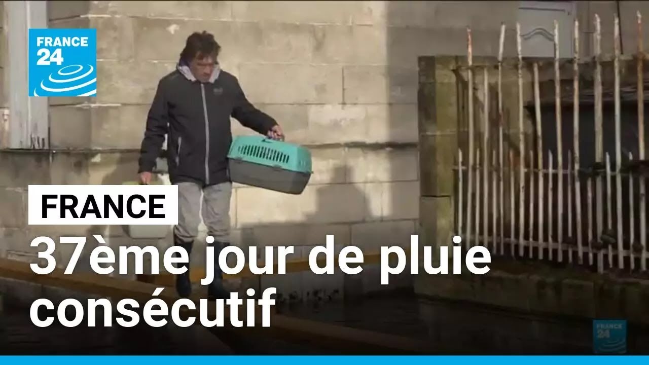 37ème jour de pluie consécutif en France, les crues vont persister tout le week-end • FRANCE 24