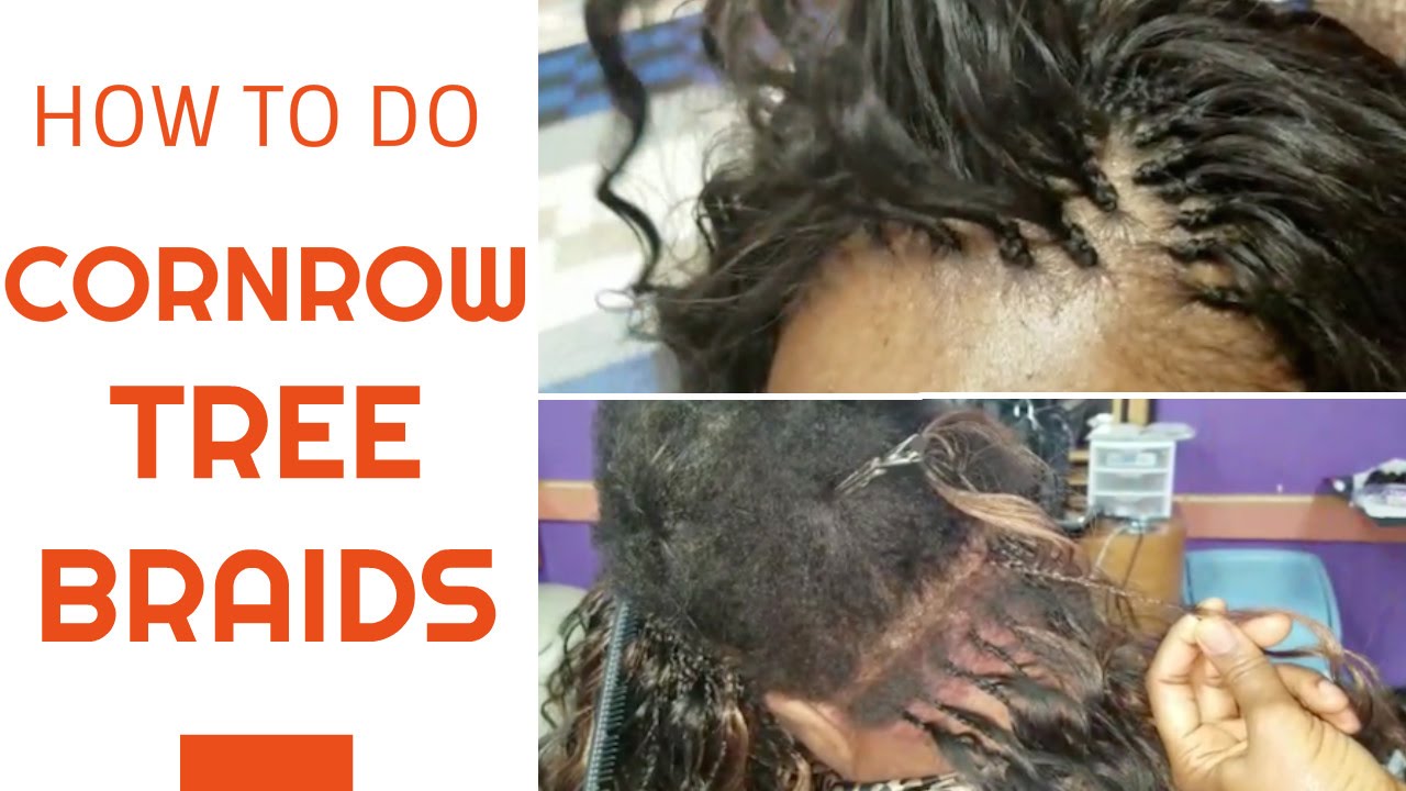 HOW TO DO CORNROW TREE BRAIDS
