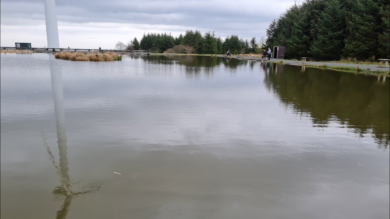 Avon Trout Fishery