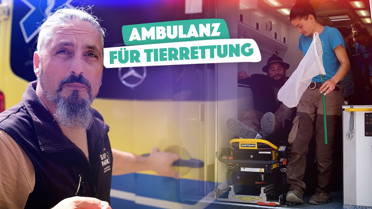 NEUES Tierrettungsfahrzeug | NOUVEAU véhicule de sauvetage animalier 🚑🐯