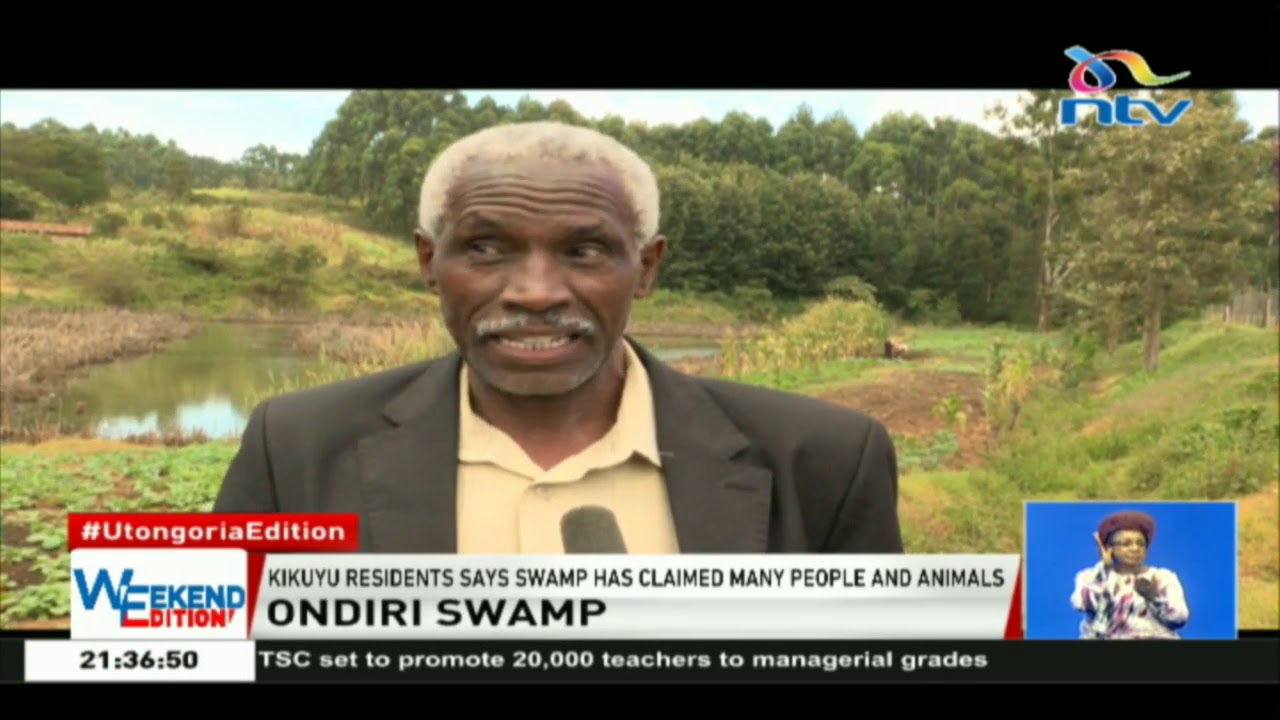 Ondiri swamp: Kikuyu residents says swamp has claimed many people and animals