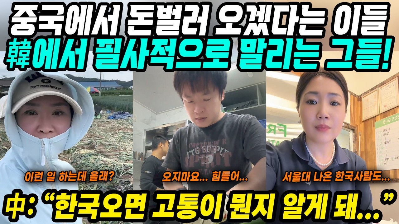 중국반응│한국에 돈벌러 오겠다는 중국인들 vs 오지말라고 필사적으로 말리는 중국인들│한국취업입국을 비추하는 진짜 이유│너무 힘들다 반대하면서 왜 중국으로 안돌아갈까?│중국어로[路]