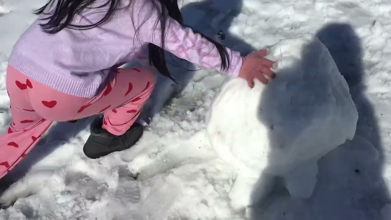 KNOCK OUT ⛄️