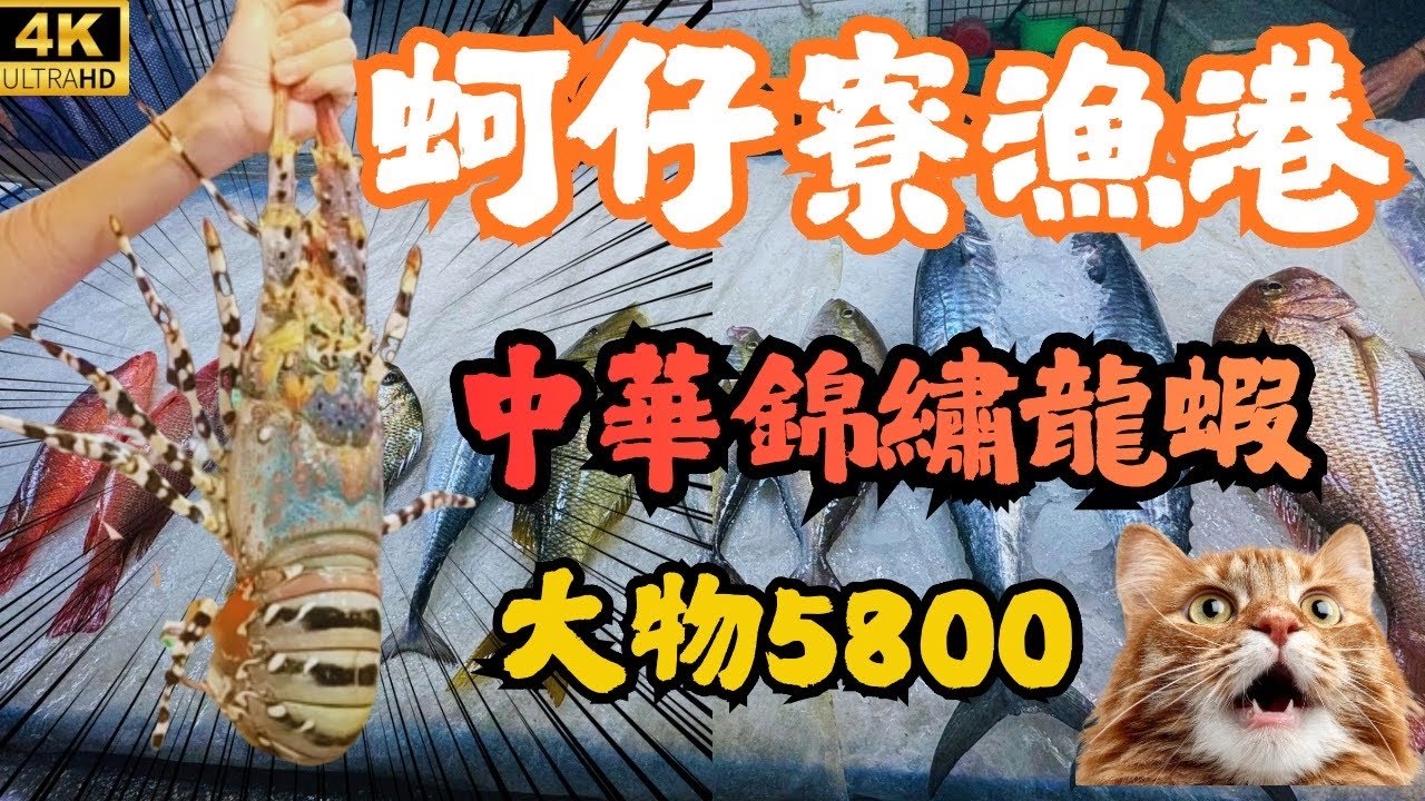 蚵仔寮種類多又新鮮，魚都亮亮翹翹的，烤整尾紅甘意外好吃，3斤中華錦繡龍蝦超高價