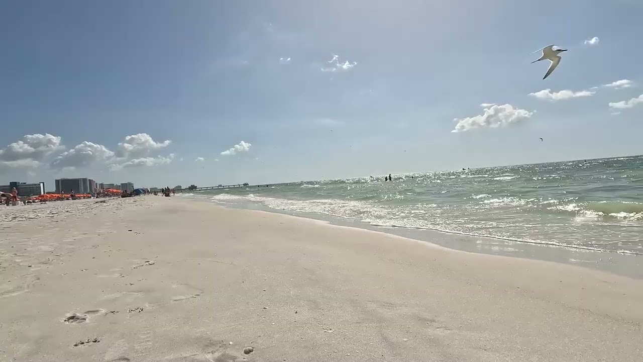 1 Hour of Peaceful Clearwater Beach | Relaxing Ocean Waves & Acoustic Guitar Music