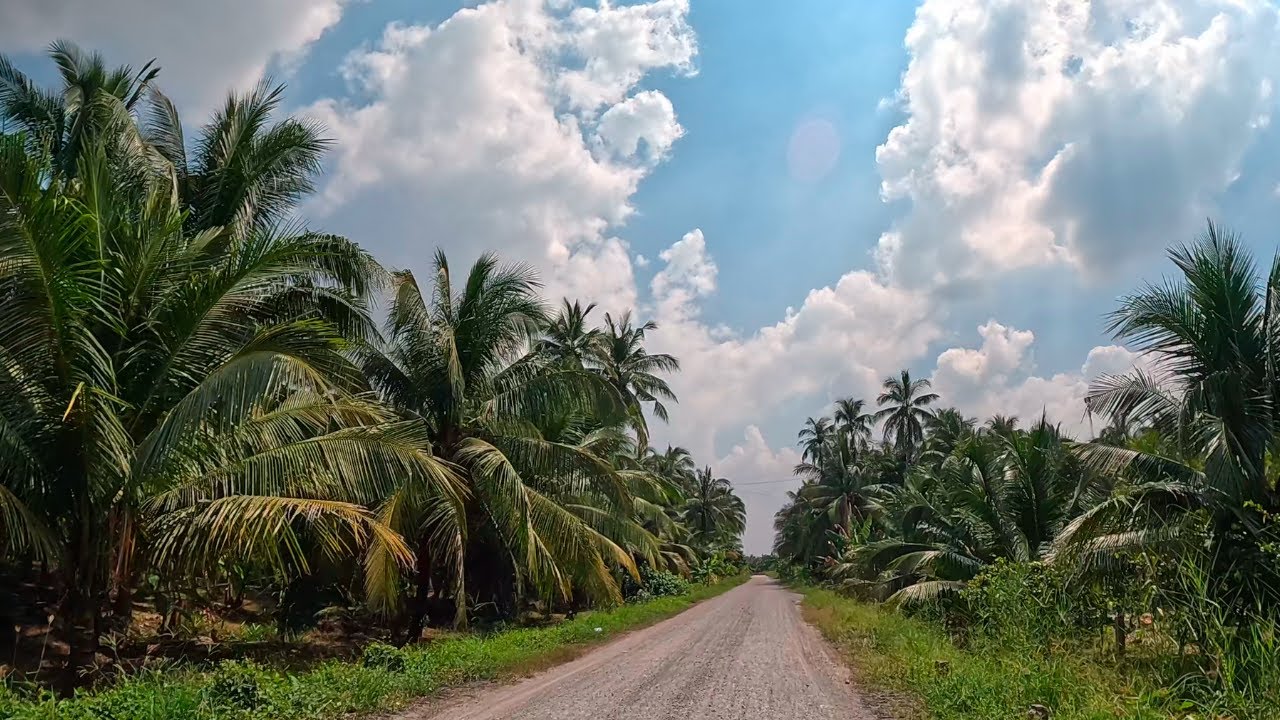 Ben Tre, Vietnam Driving from An Hoa, Chau Thanh to Long Dinh, Binh Dai #25