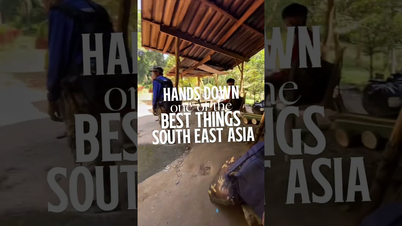 A must-do backpacking activity in Southeast Asia?! 😍🧭🐘🌿 #southeastasia #thailandtravel #khaosok