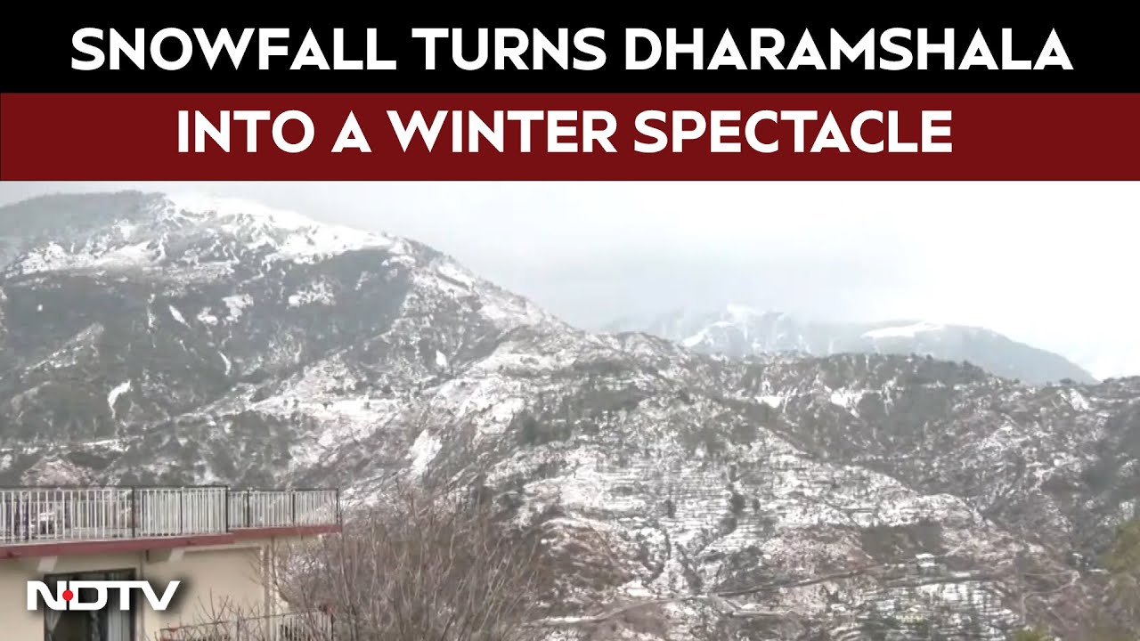 India News | Fresh Snowfall Transforms Dharamshala Into A Winter Spectacle