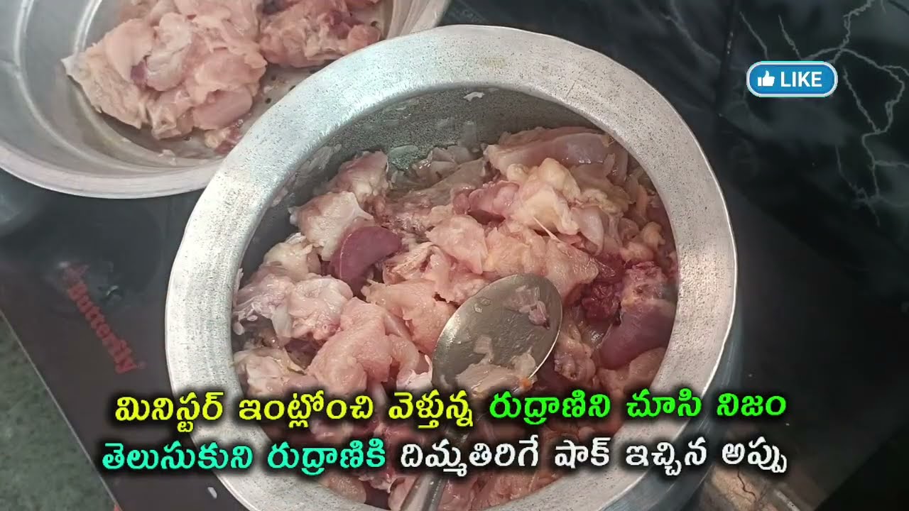  మినిస్టర్ ఇంట్లో రుద్రాణినిచూసినిజం తెలుసుకునిరుద్రాణికి షాక్ ఇచ్చిన అప్పు