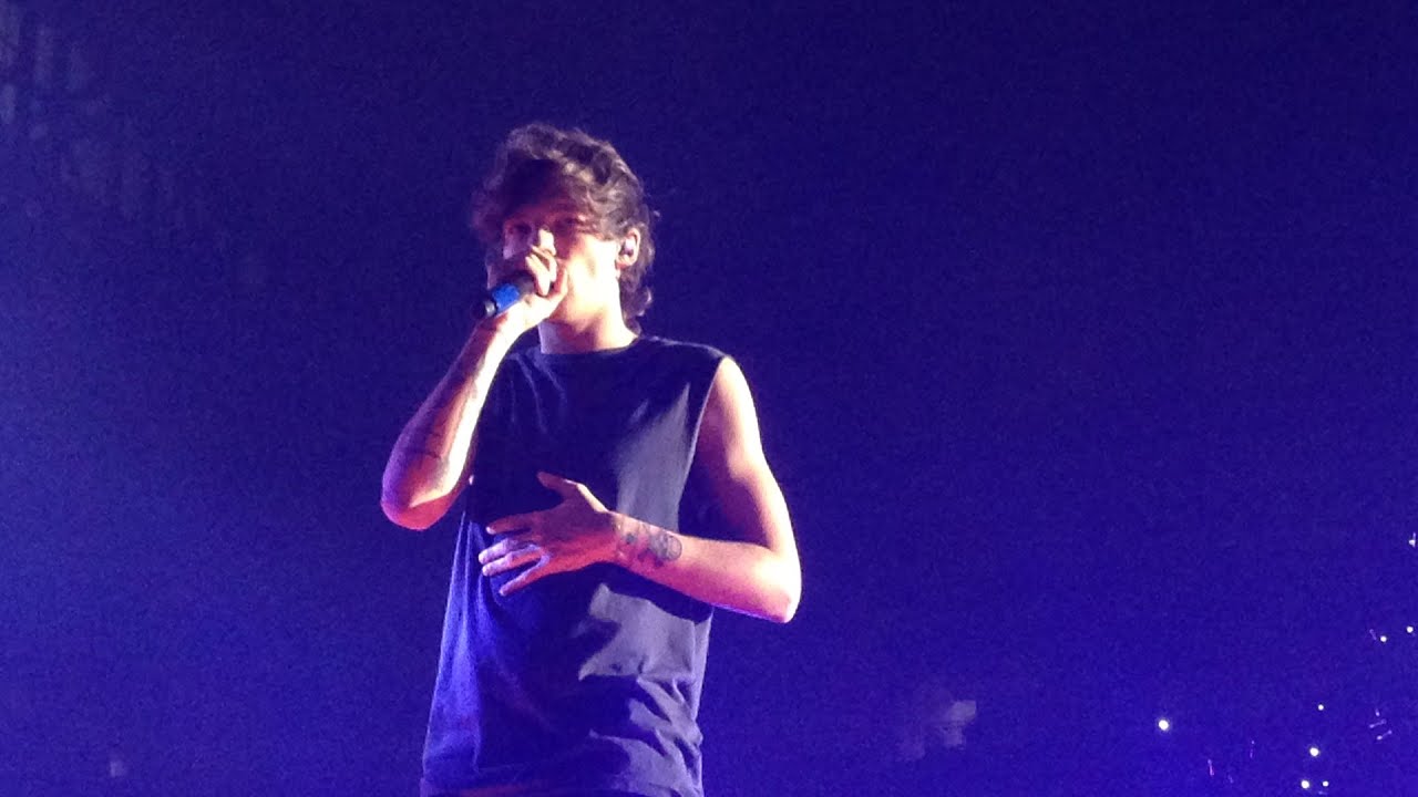 Moments - One Direction - Ford Field