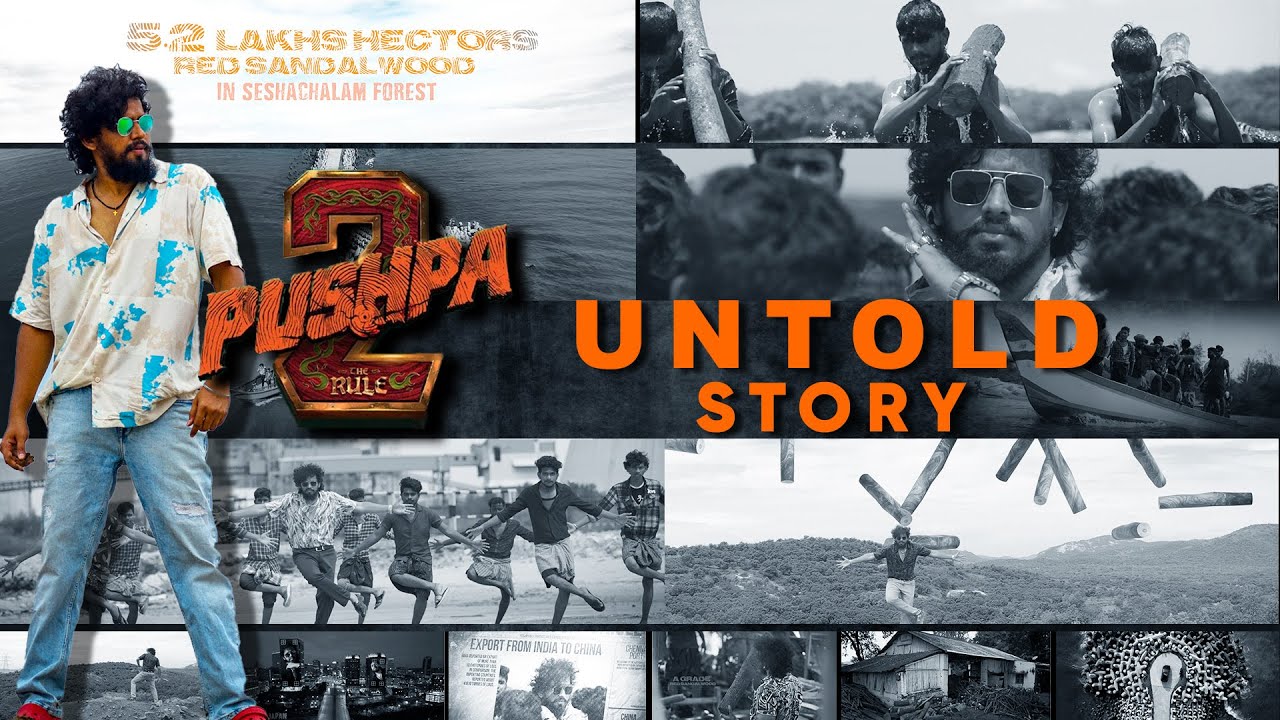 Allu Arjun - Pushpa2TheRule Untold Story | Pushpa2 | RoopCreations