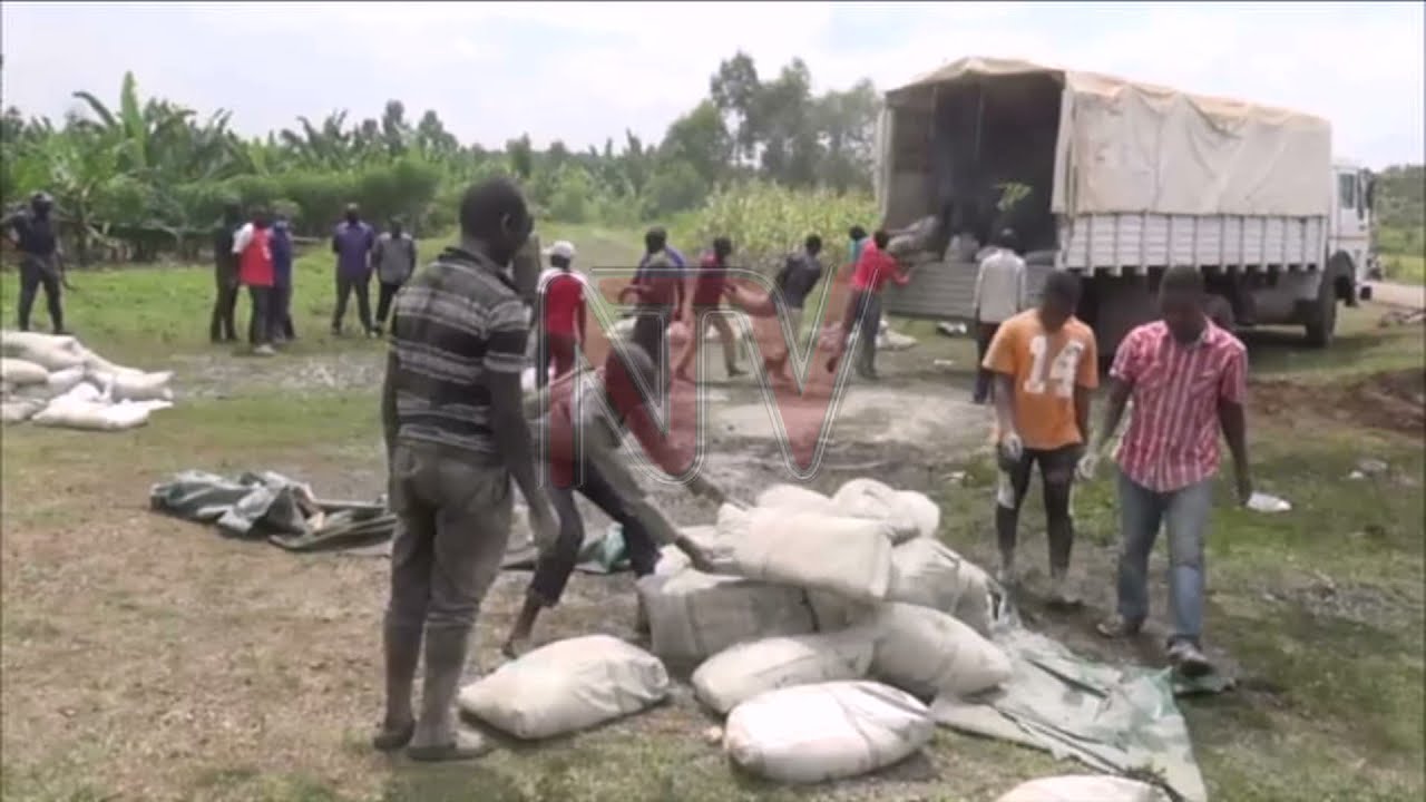 Four family members die in Mbale-Tororo road accident
