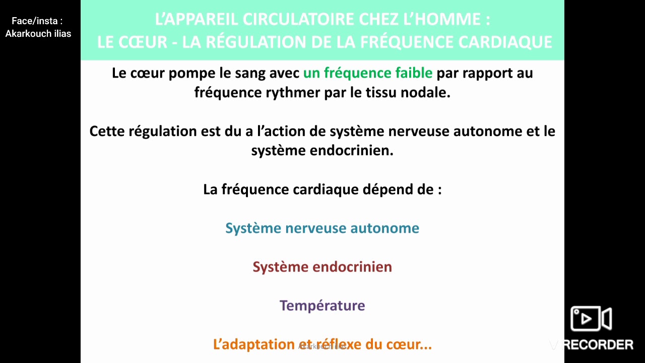 La régulation de la fréquence cardiaque (partie1)