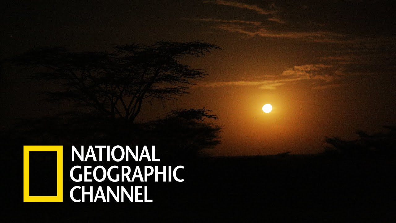 Access 360&deg;: Jezioro Turkana - Wyspa Centralna