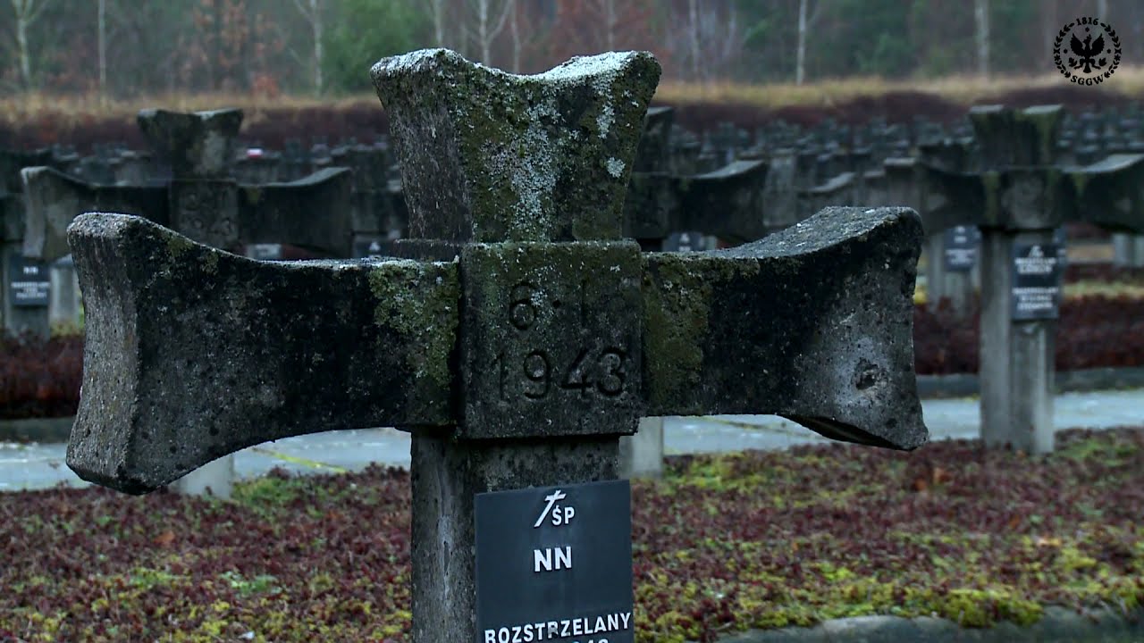 Virtual walk in the Kampinoski National Park