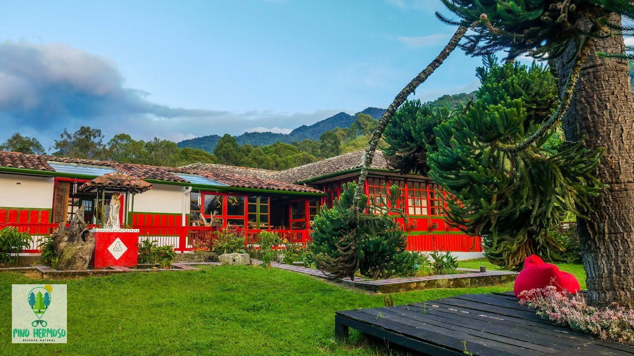 Pino Hermoso : séjour à la ferme à Salento en Colombie