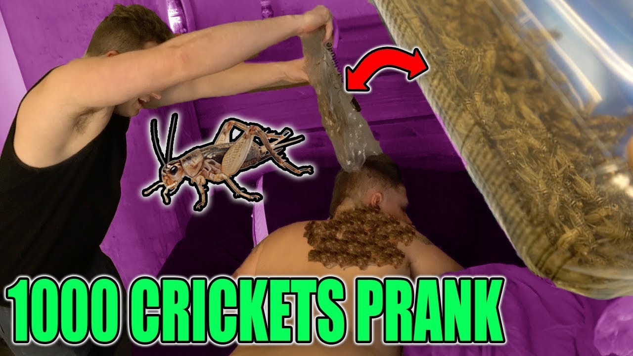 1000 LIVE CRICKETS IN BED! (GONE WRONG)