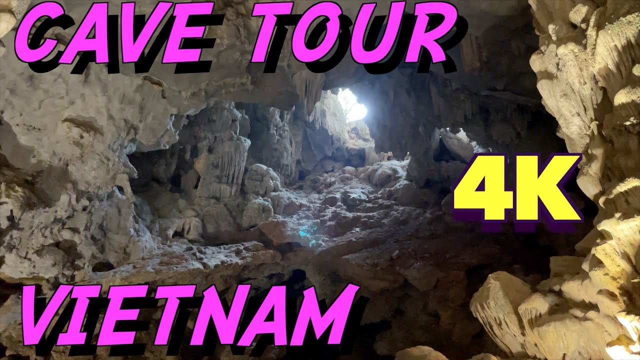 Top things to do in Vietnam | Hang Đầu Gỗ (Dau Go Cave)