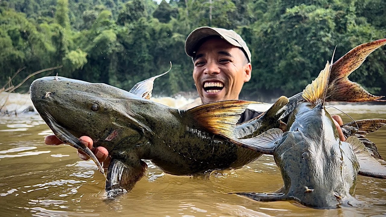 Đi Sâu Vào Rừng Săn Tìm Thủy Qoái Sông Đồng Nai | Big fish in the forest