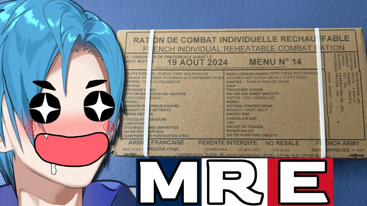 VTuber Tries a FRENCH MRE (RCIR) 【Handcam】【Part 1】