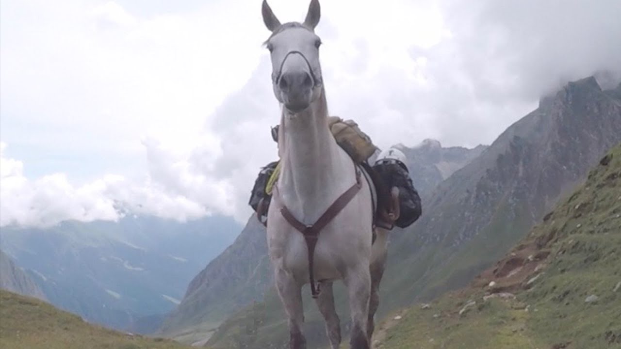 Solo mit dem Pferd über die Alpen - Der Schimmelreiter -