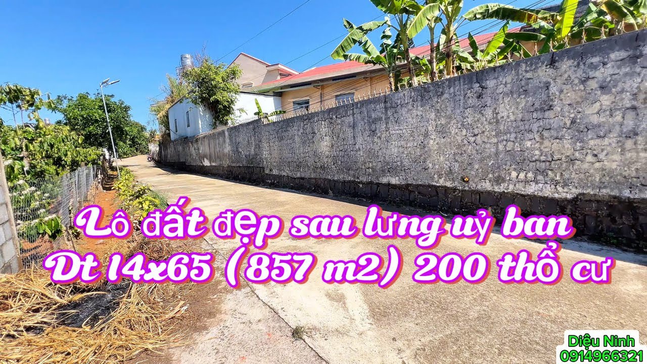 🌹(474) Gồng lãi ngân hàng hết nỗi rồi nên chủ xả lỗ lô đất đẹp sau lưng uỷ ban 