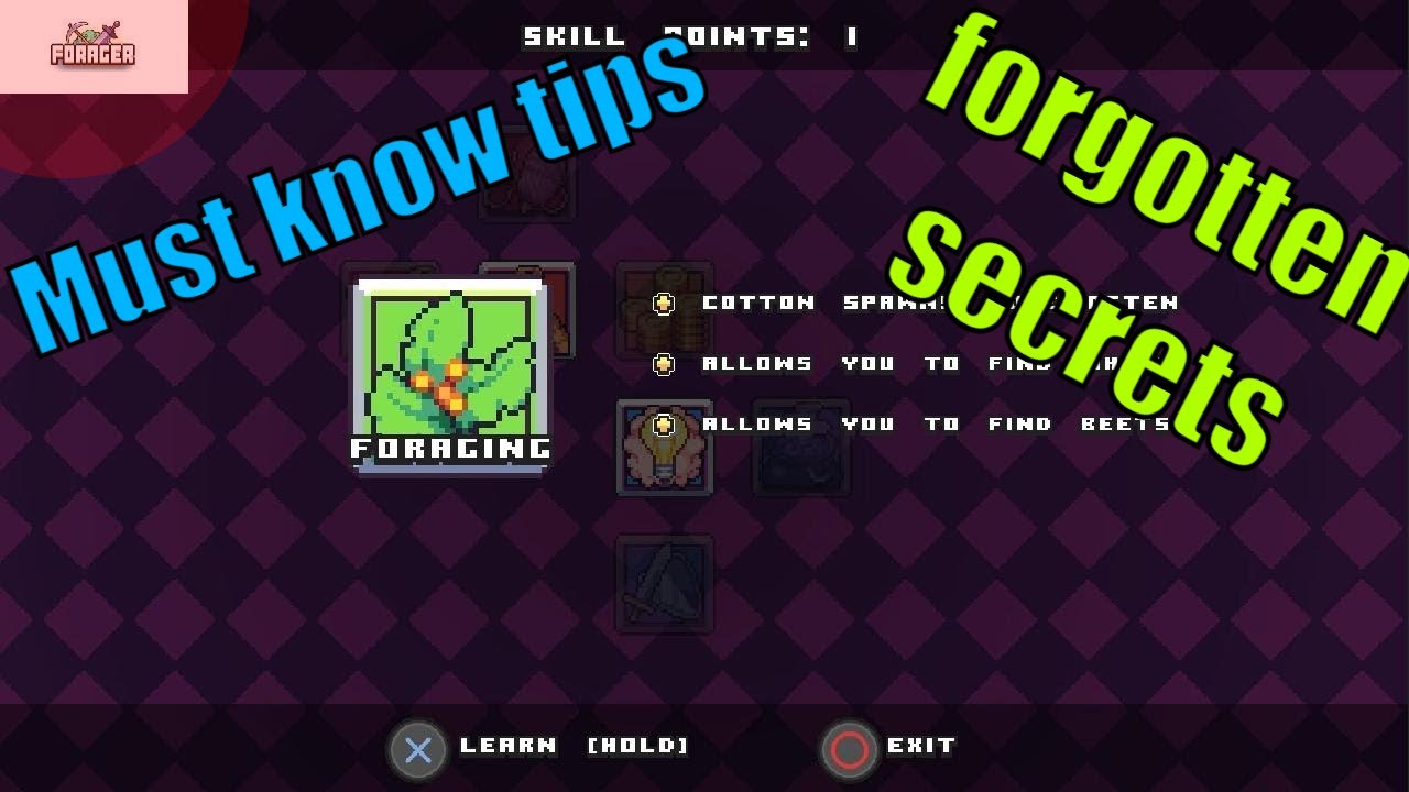 Forager Do's / dont's. starting out.(Forager tips and tricks for 2025)