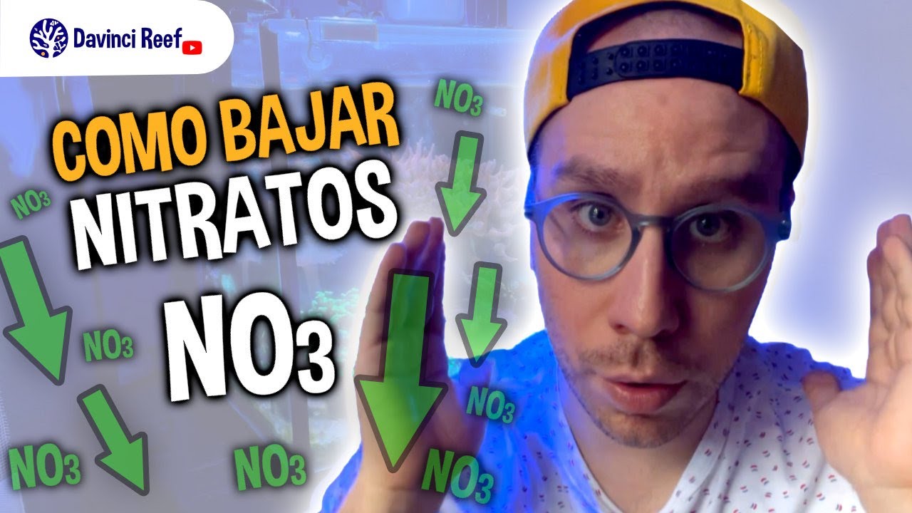 🐠Como Reducir Nitratos en tu Acuario Marino - 8 consejos