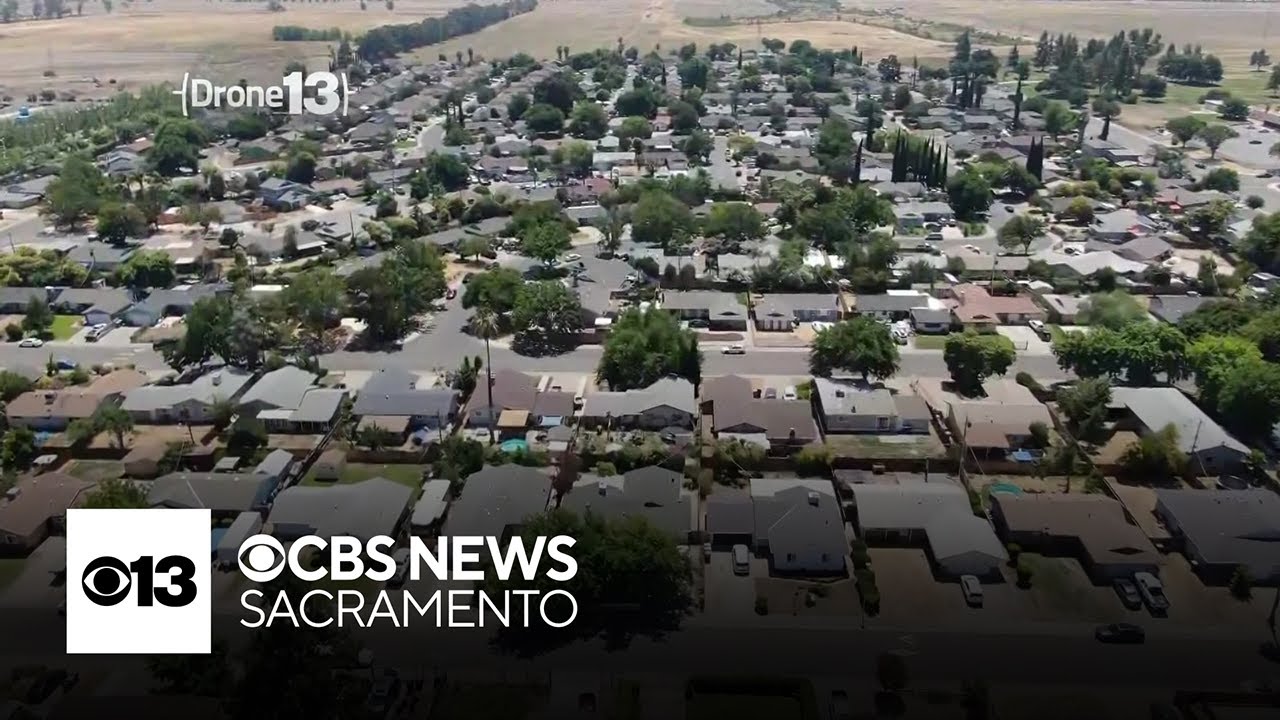 Sacramento working to double city's tree canopy by 2045
