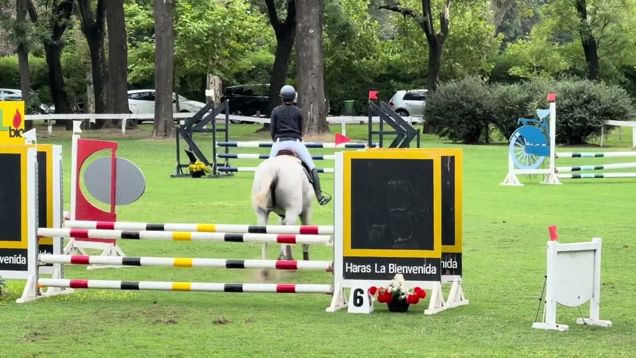 Delfi & Game on Z en 90 cm en el jockey 14/03/26