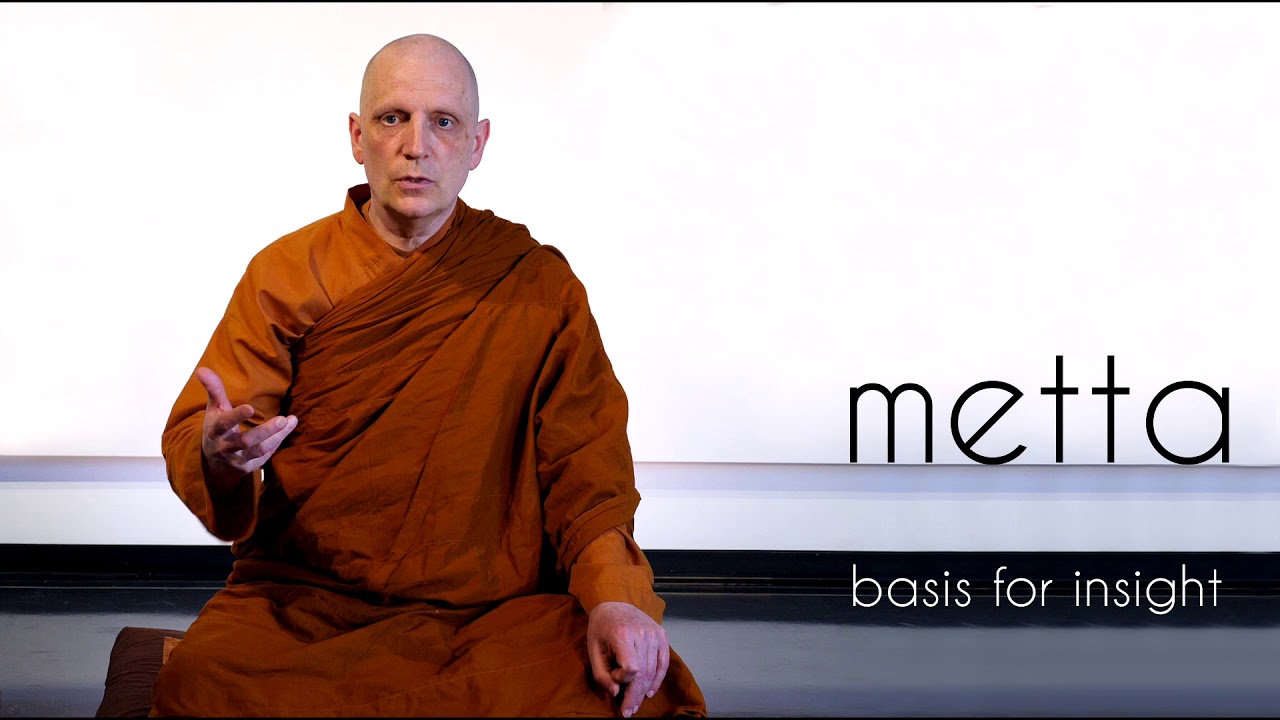 Metta (1): Basis for Insight