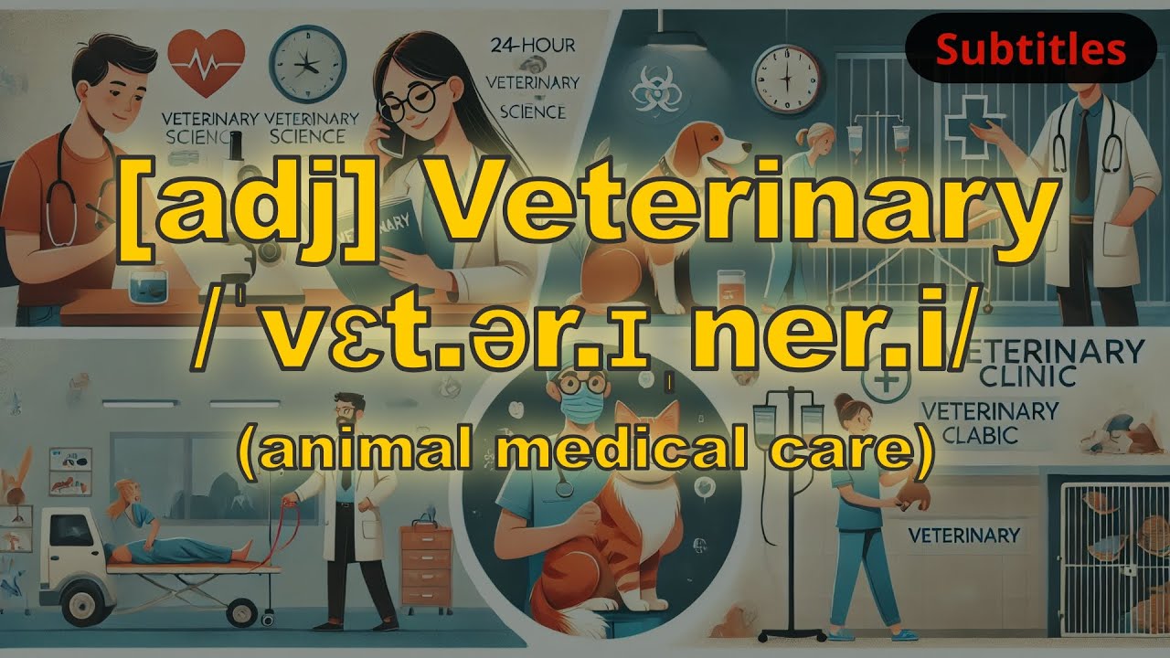 [adj] Veterinary meaning (animal medical care) with 5 examples