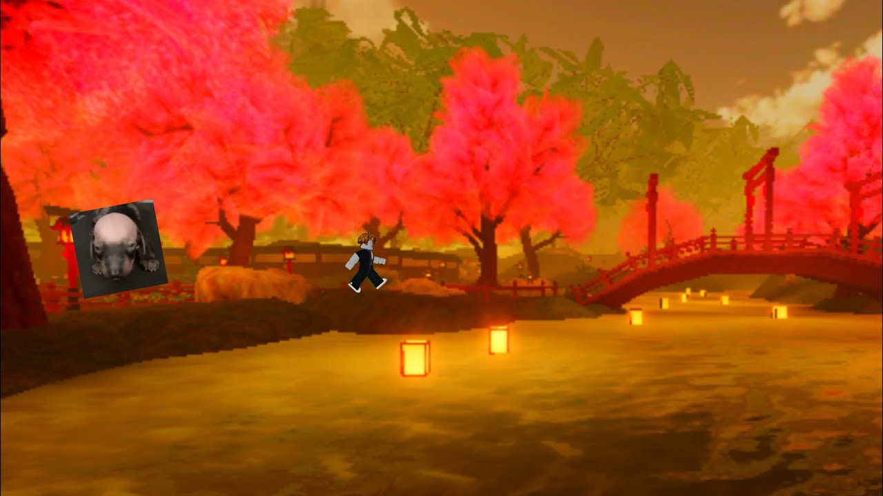 Playing roblox with a eye tracker #roblox #eyetracking