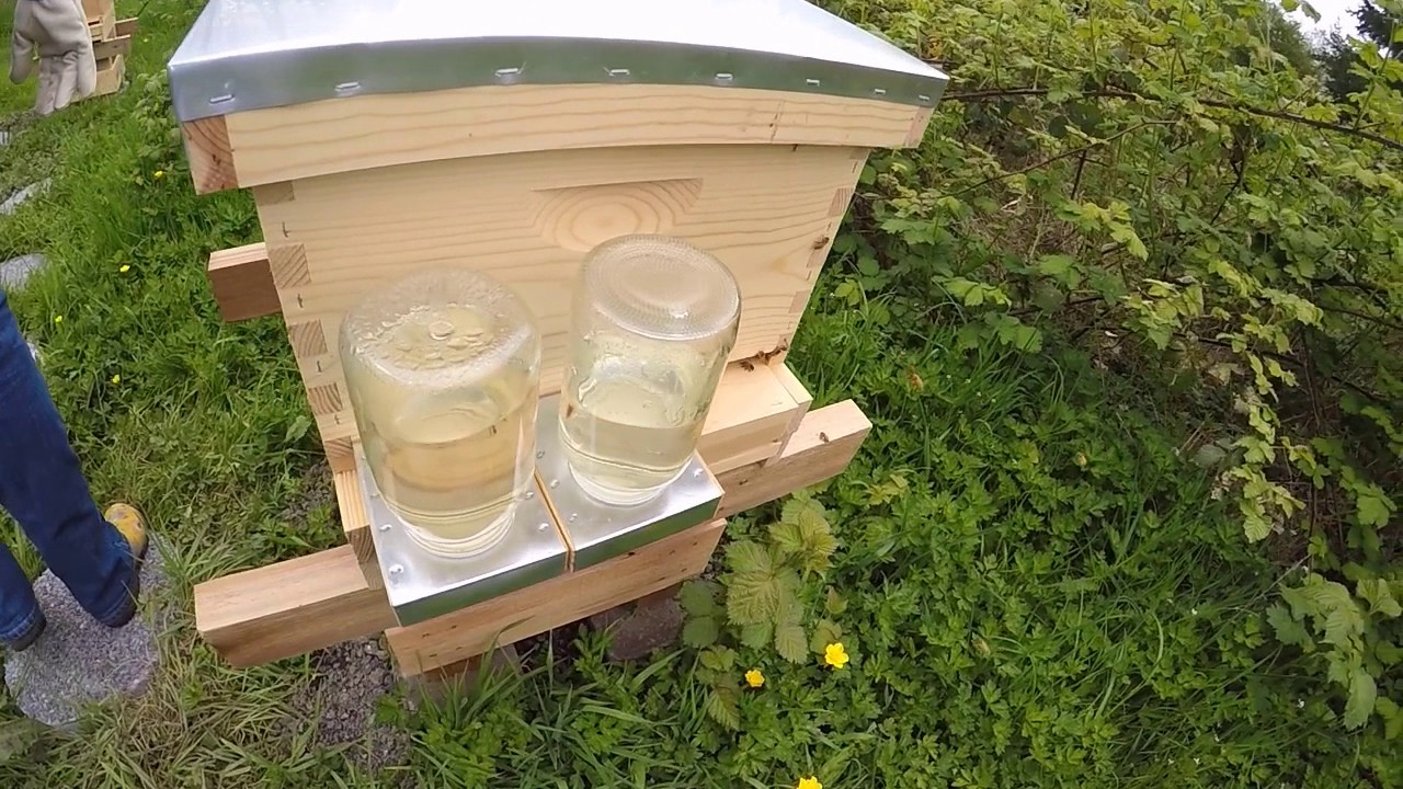 Bee Pollen sacs