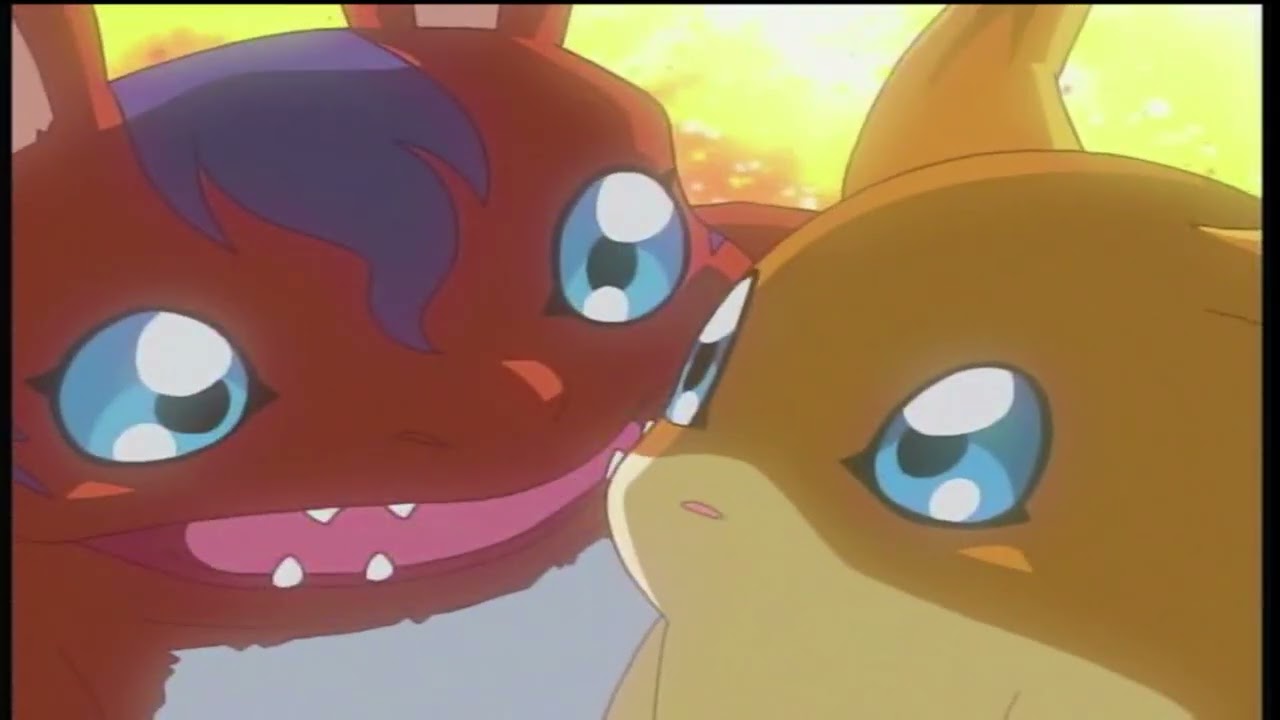 Digimon Season 1 ~ Patamon & Elecmon Become Friends