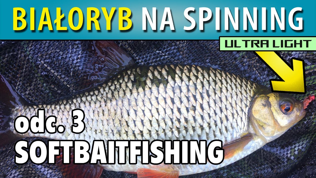 UltraLight ➤BIAŁORYB na spinning - w morzu (okonie, płocie, leszcze)...